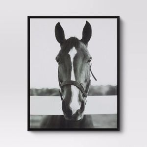 THFC 24" x 30" Black and White Horse Framed Canvas